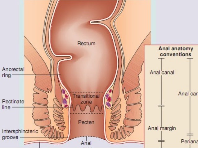 squamous cell anal carcinoma Milf naked photos
